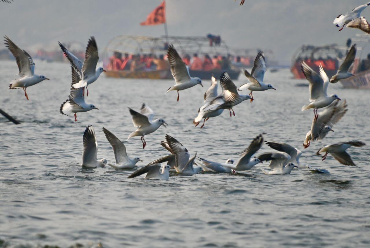Hotels in Prayagraj