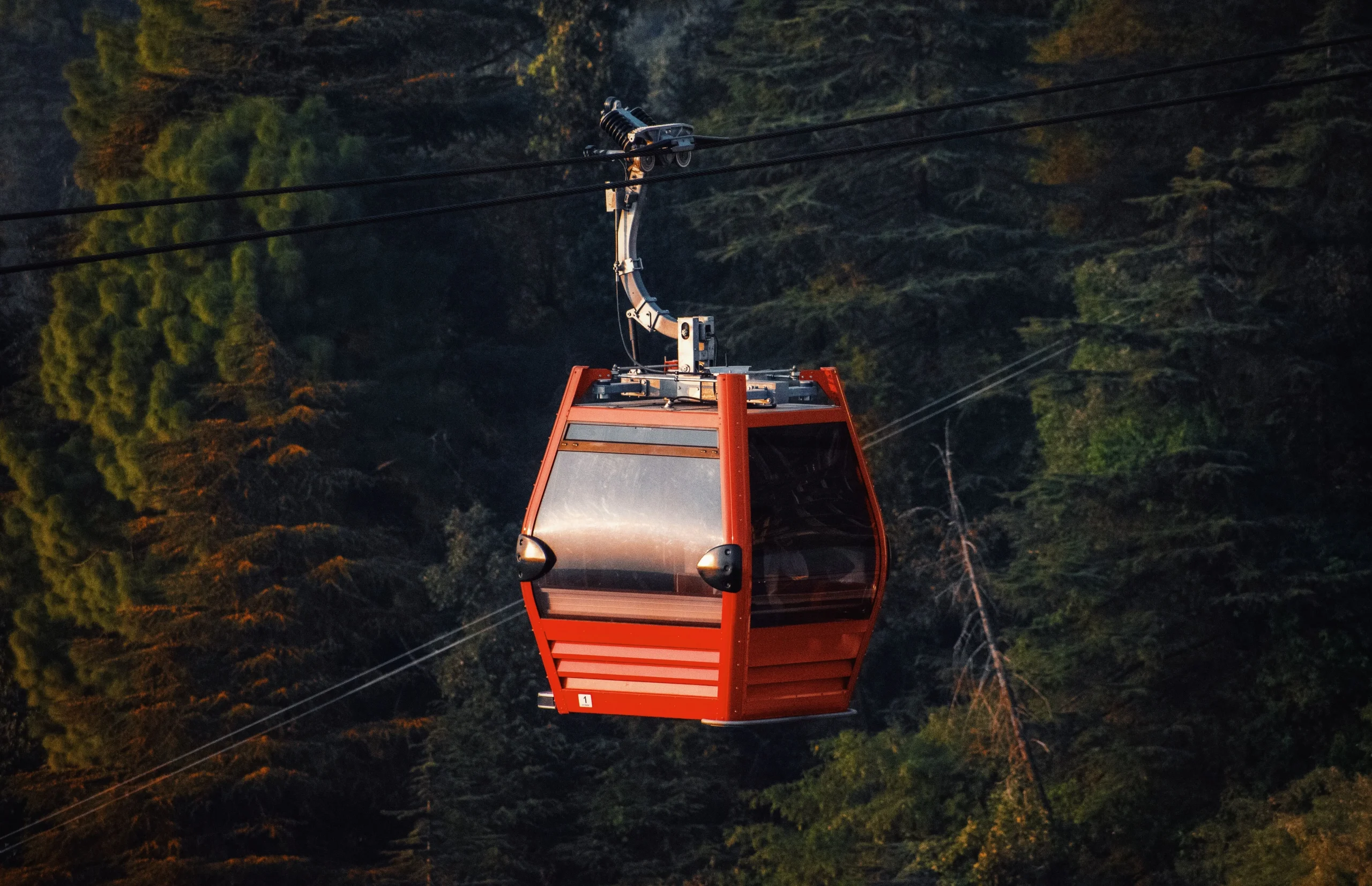 Mcleodganj Tour Package