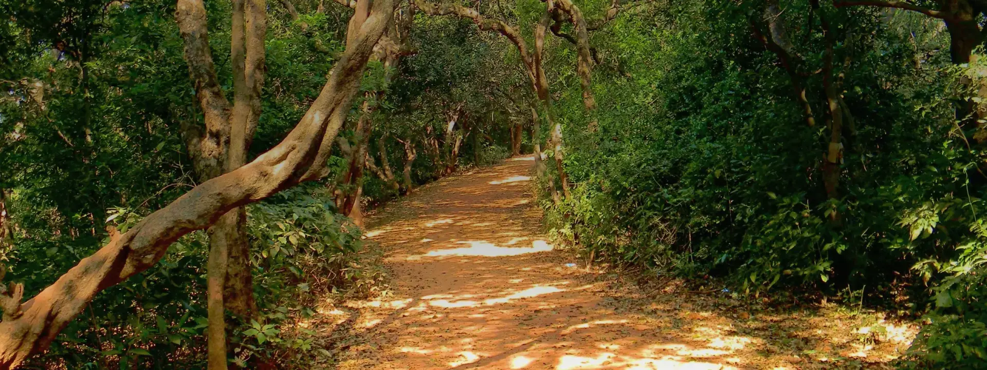 Mahabaleshwar Tour Package From Mumbai/Pune