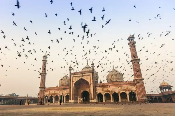 5 Nights 6 Days The Golden Triangle Tour Package