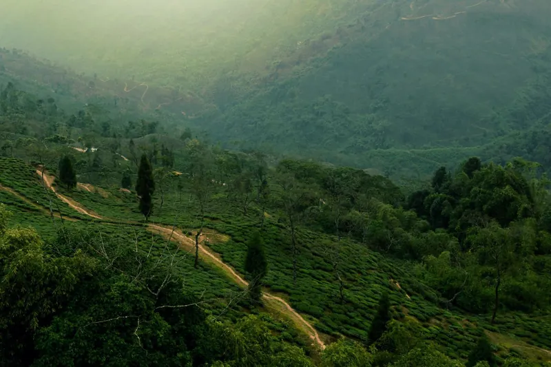 4 Nights 5 Days Darjeeling & Kalimpong Tour Package